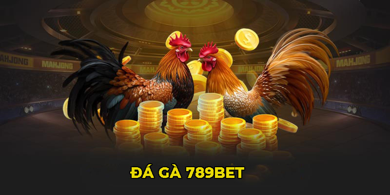 đá gà 789bet